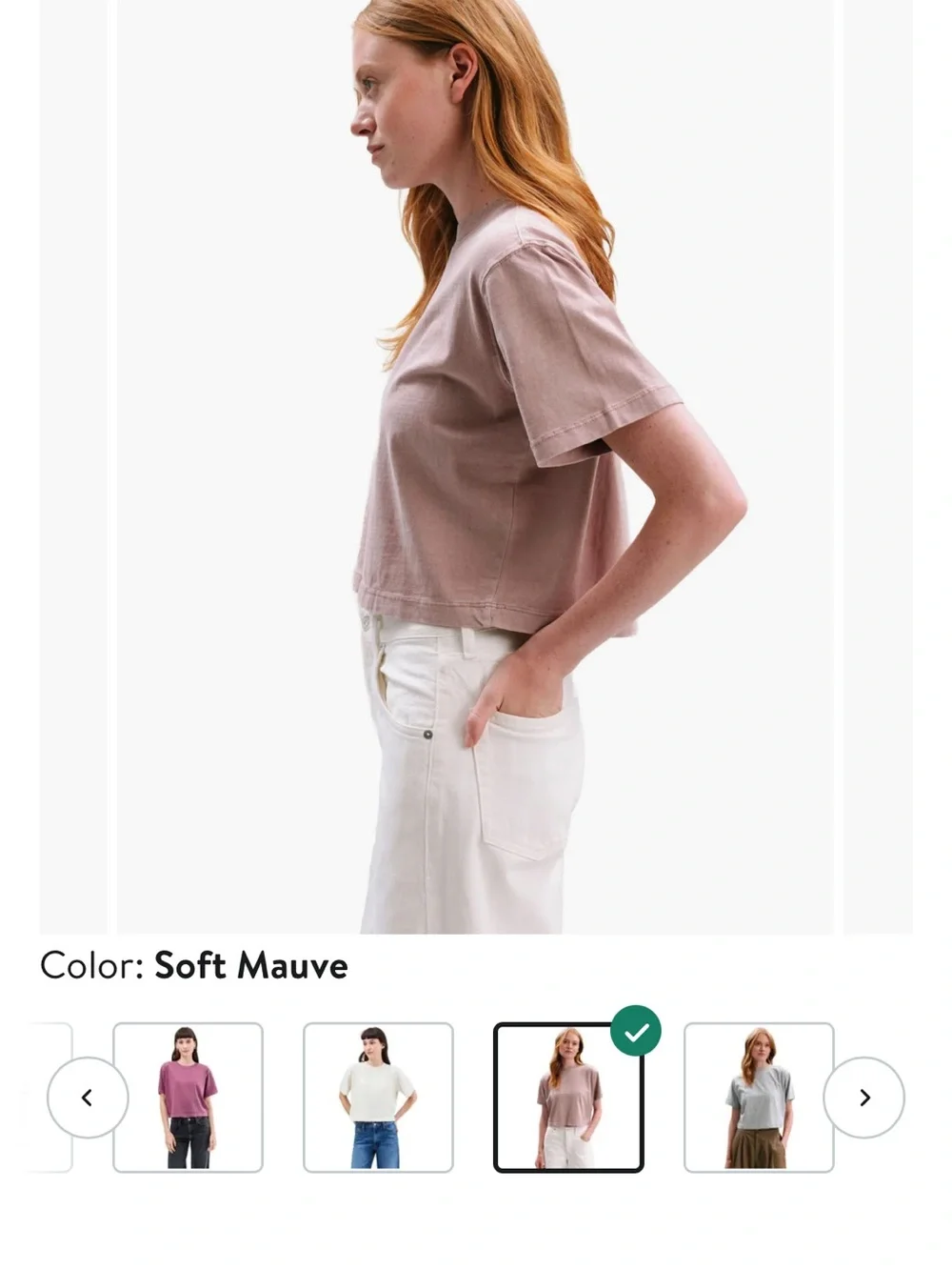 Relaxed Crop Tee- Richer Pooper XL